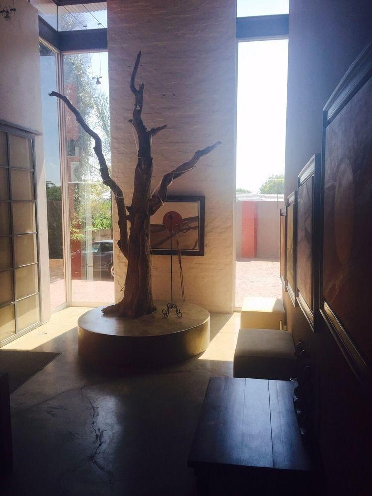 African Moon Corporate House 肯普顿帕克 外观 照片